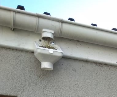 example 1 facia board mounted (1)